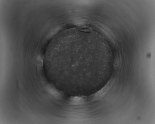 X0000101430180200808041200