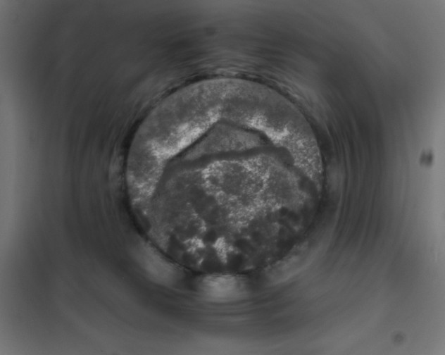 X0000101430181200808041200