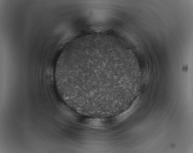 X0000101430182200808041200