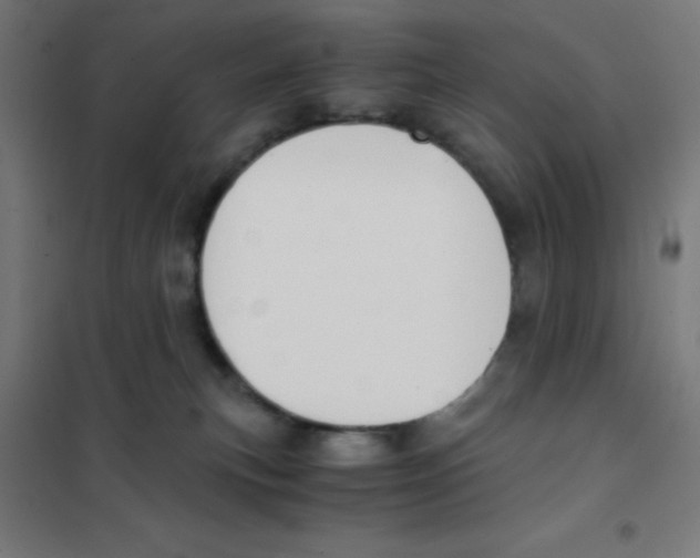 X0000101430183200808041200