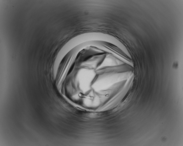 X0000101430184200808041200