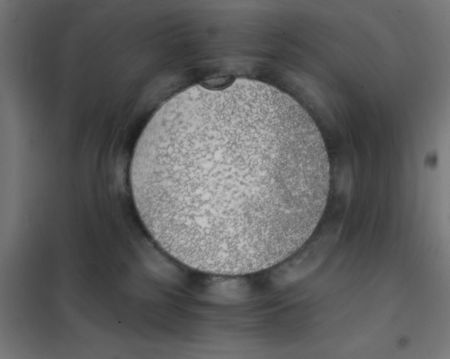 X0000101430185200808041200