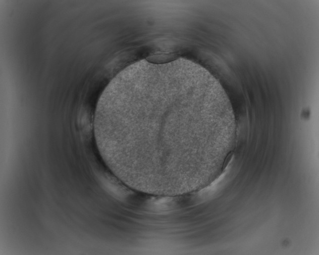 X0000101430186200808041200