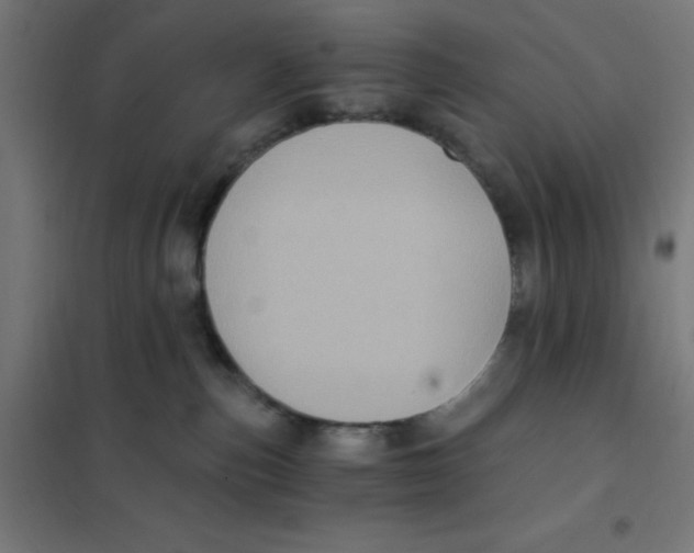 X0000101430187200808041200