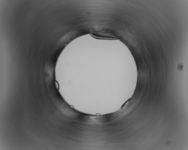 X0000101430188200808041200