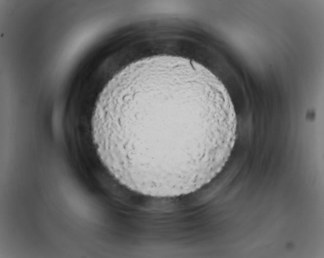 X0000101430189200808041200