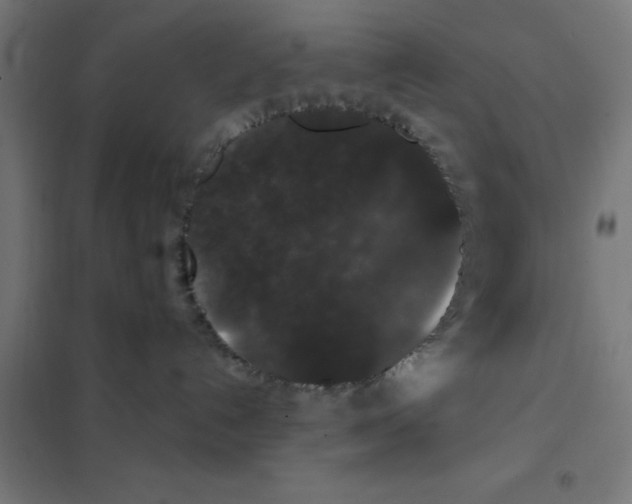 X0000101430192200808041200