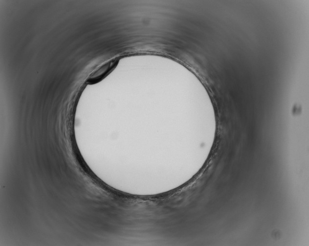 X0000101430193200808041159