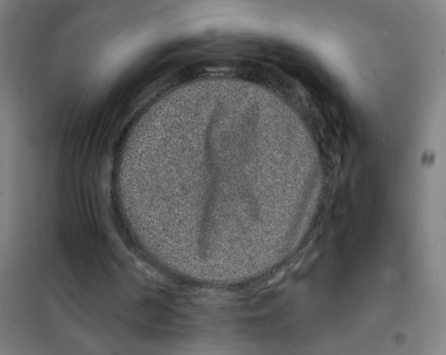 X0000101430194200808041159