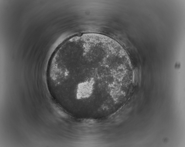 X0000101430195200808041159