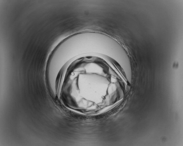 X0000101430196200808041159