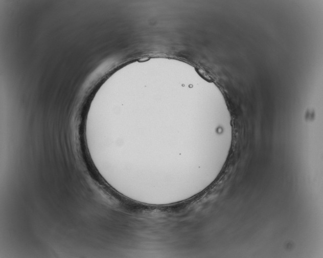 X0000101430197200808041159