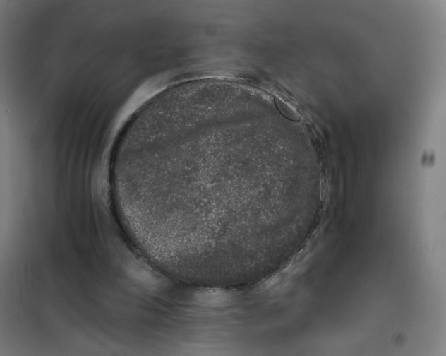 X0000101430198200808041159