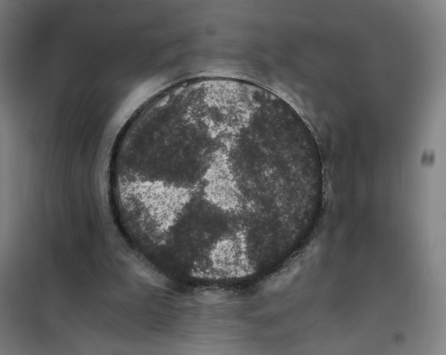 X0000101430199200808041159