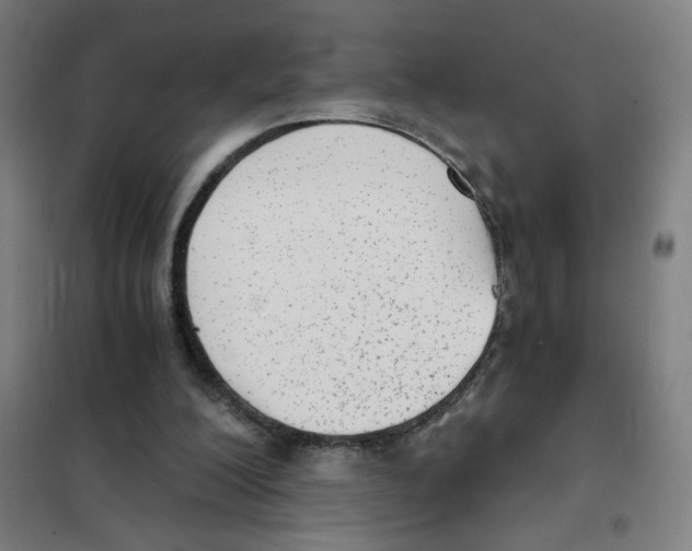 X0000101430200200808041159