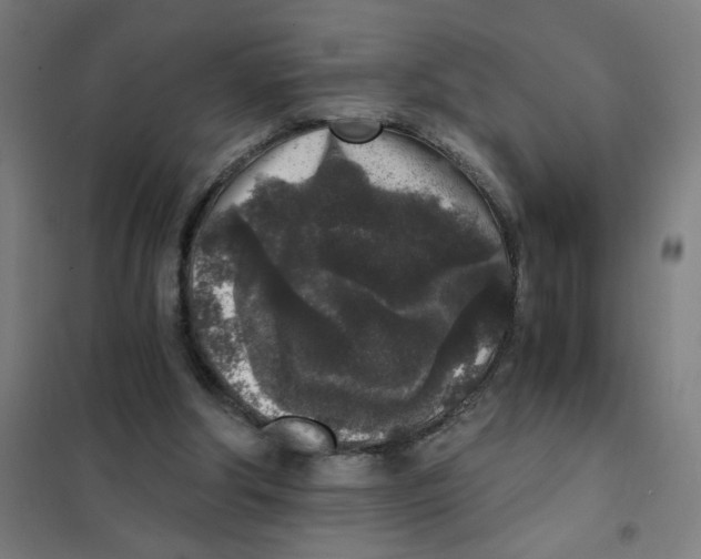 X0000101430202200808041159