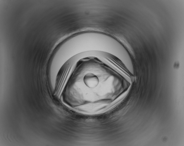 X0000101430204200808041159