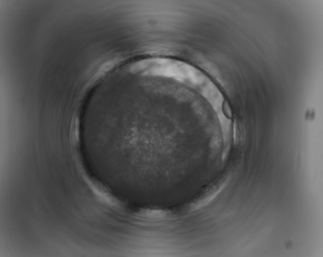 X0000101430205200808041159