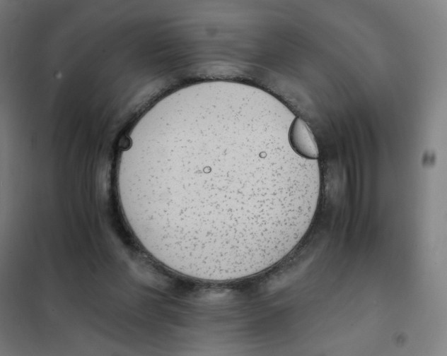 X0000101430206200808041159