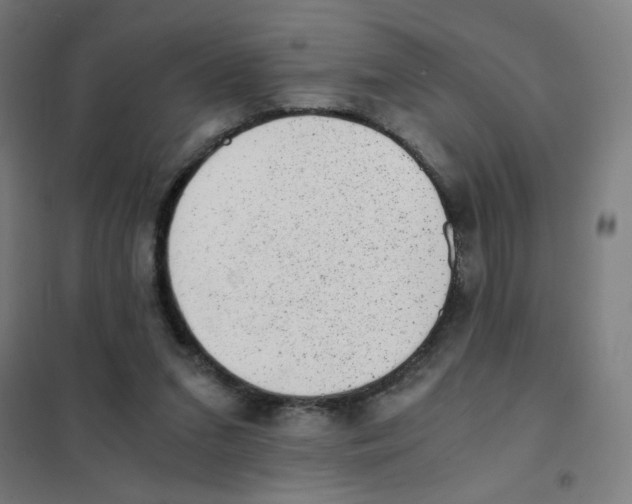 X0000101430207200808041159