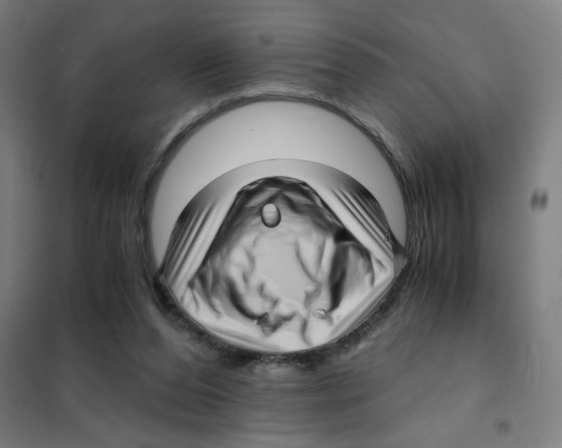 X0000101430208200808041159