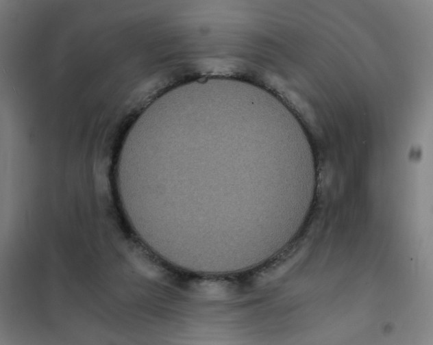 X0000101430209200808041159