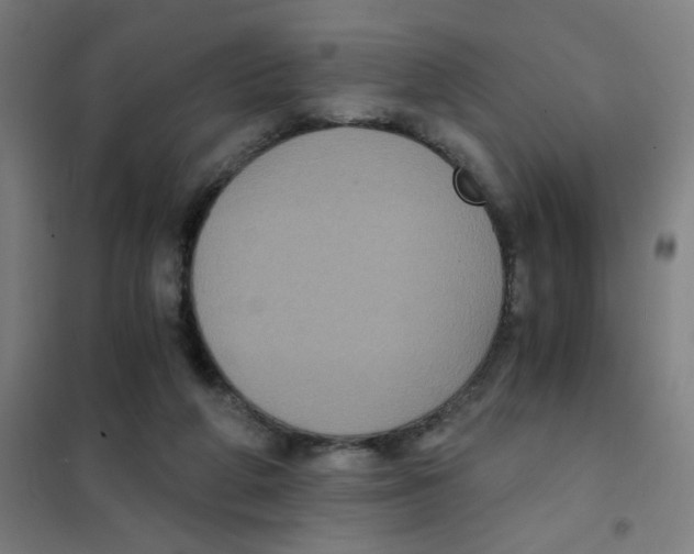 X0000101430210200808041159