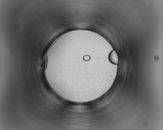 X0000101430212200808041159