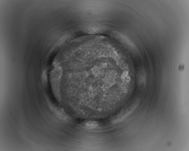 X0000101430214200808041159