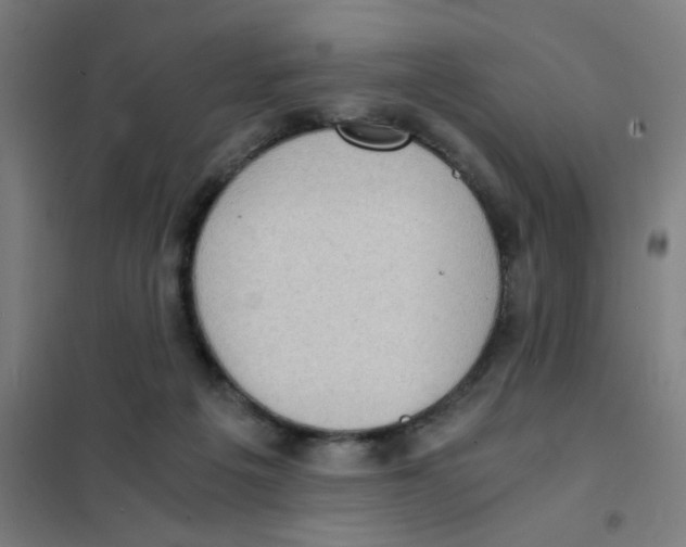 X0000101430217200808041159