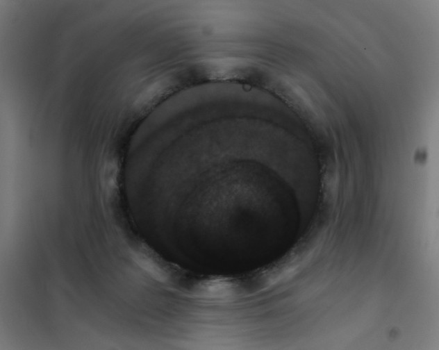 X0000101430219200808041159