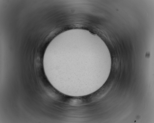 X0000101430220200808041159