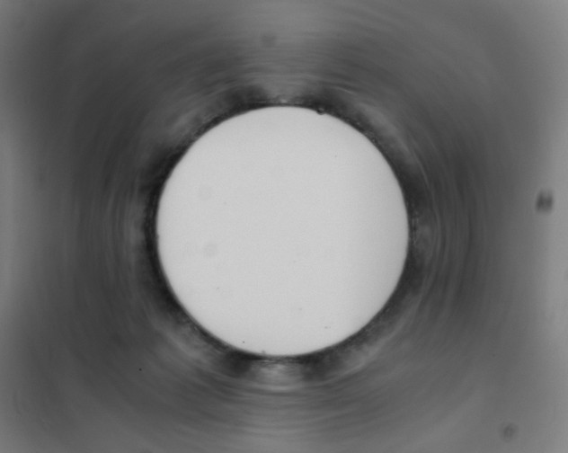 X0000101430221200808041159