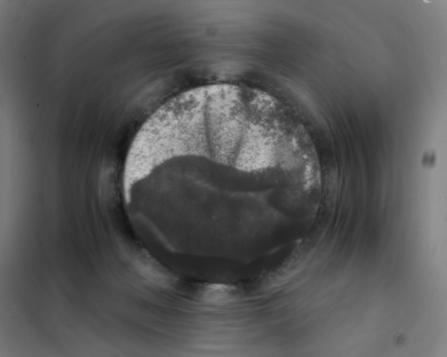 X0000101430222200808041159