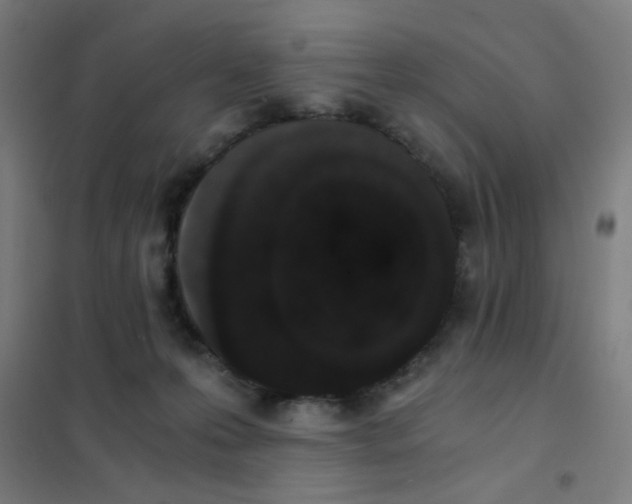 X0000101430223200808041159