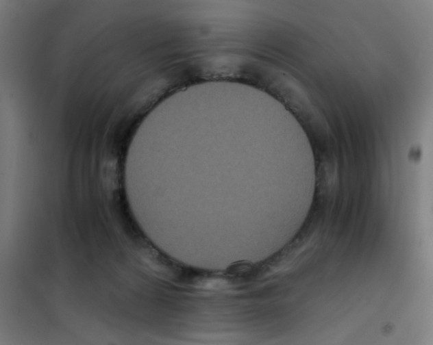 X0000101430224200808041159