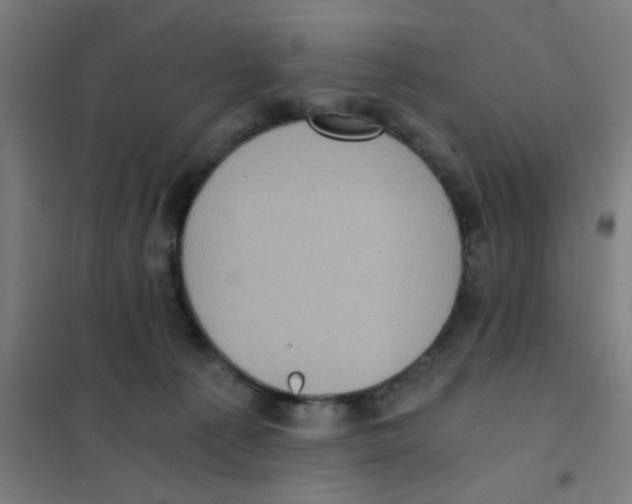 X0000101430225200808041159