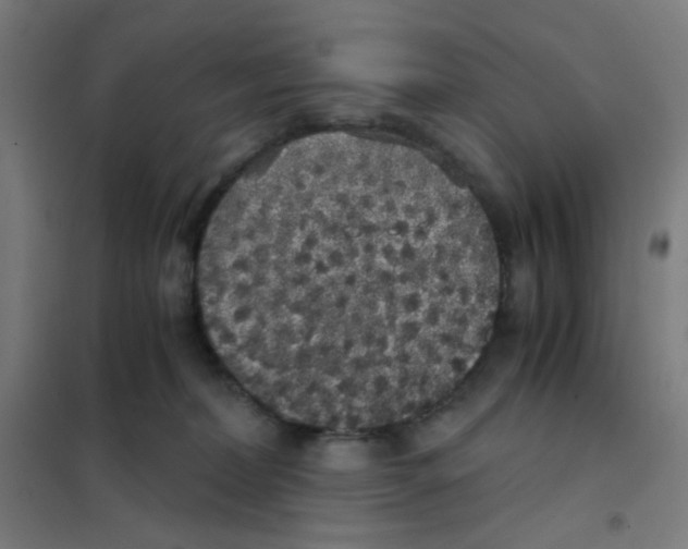 X0000101430228200808041159