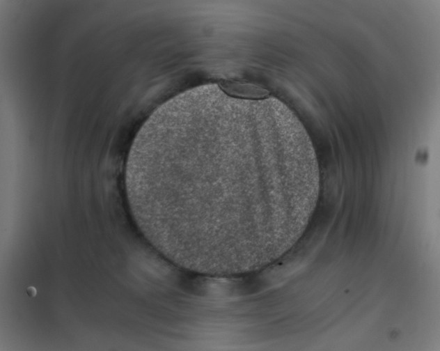 X0000101430229200808041159