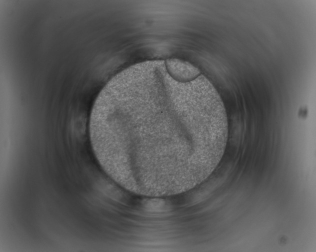 X0000101430230200808041159