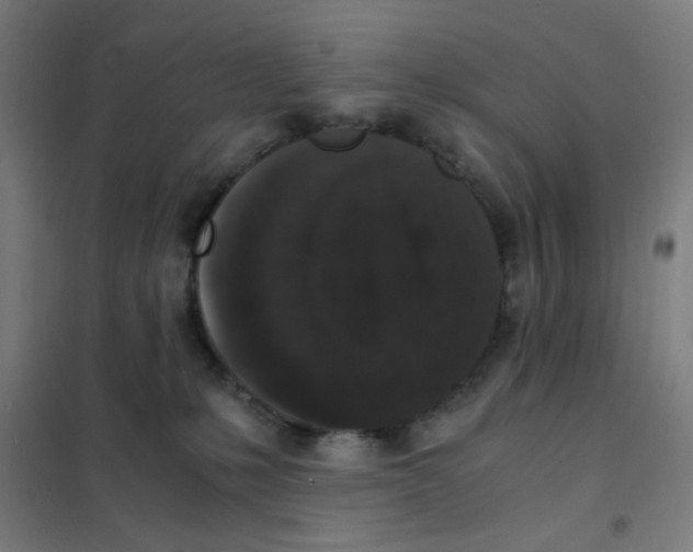 X0000101430231200808041159