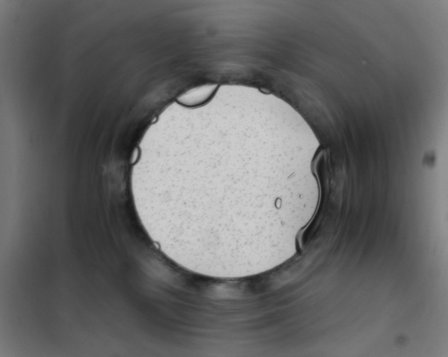 X0000101430232200808041159