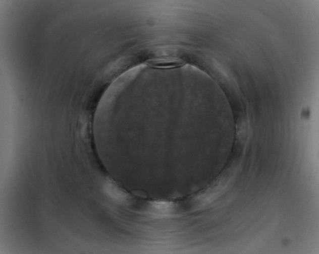 X0000101430233200808041158