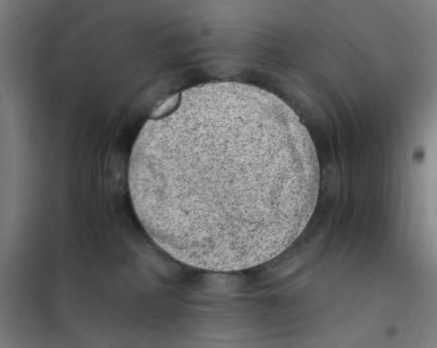 X0000101430234200808041158