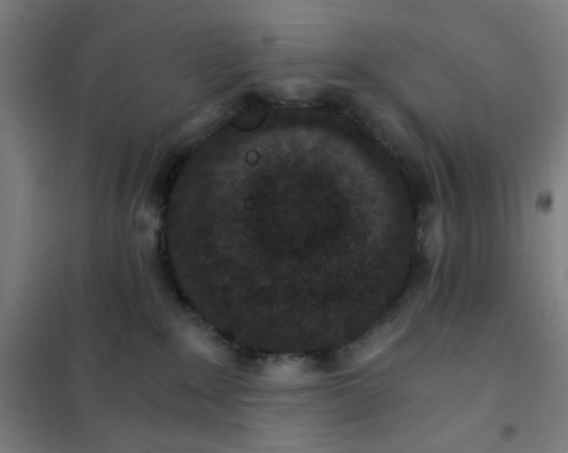 X0000101430235200808041158