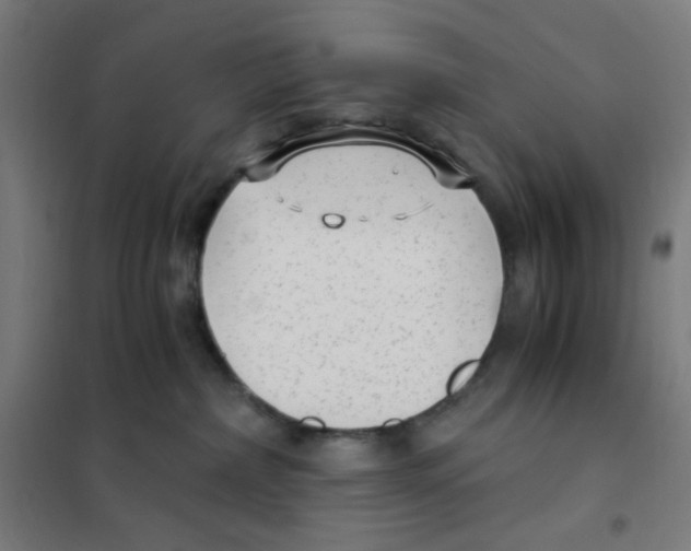 X0000101430236200808041158