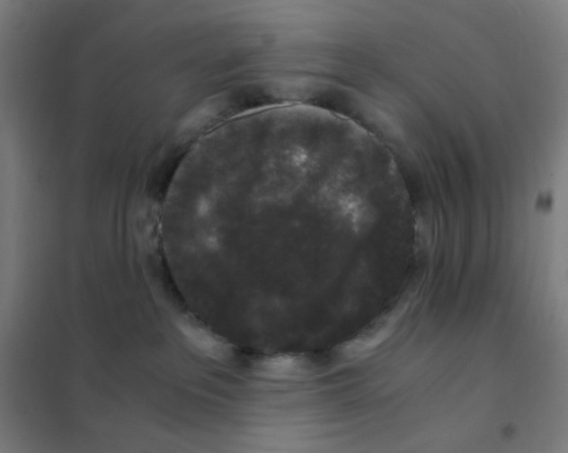 X0000101430237200808041158