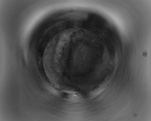 X0000101430239200808041158