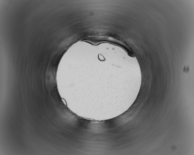 X0000101430240200808041158