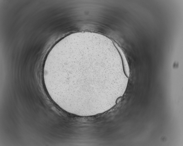 X0000101430241200808041158